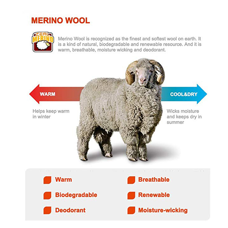 ZEALWOOD Hiking Trekking Men's - مراجعة Wool Hiking Sock وسعره